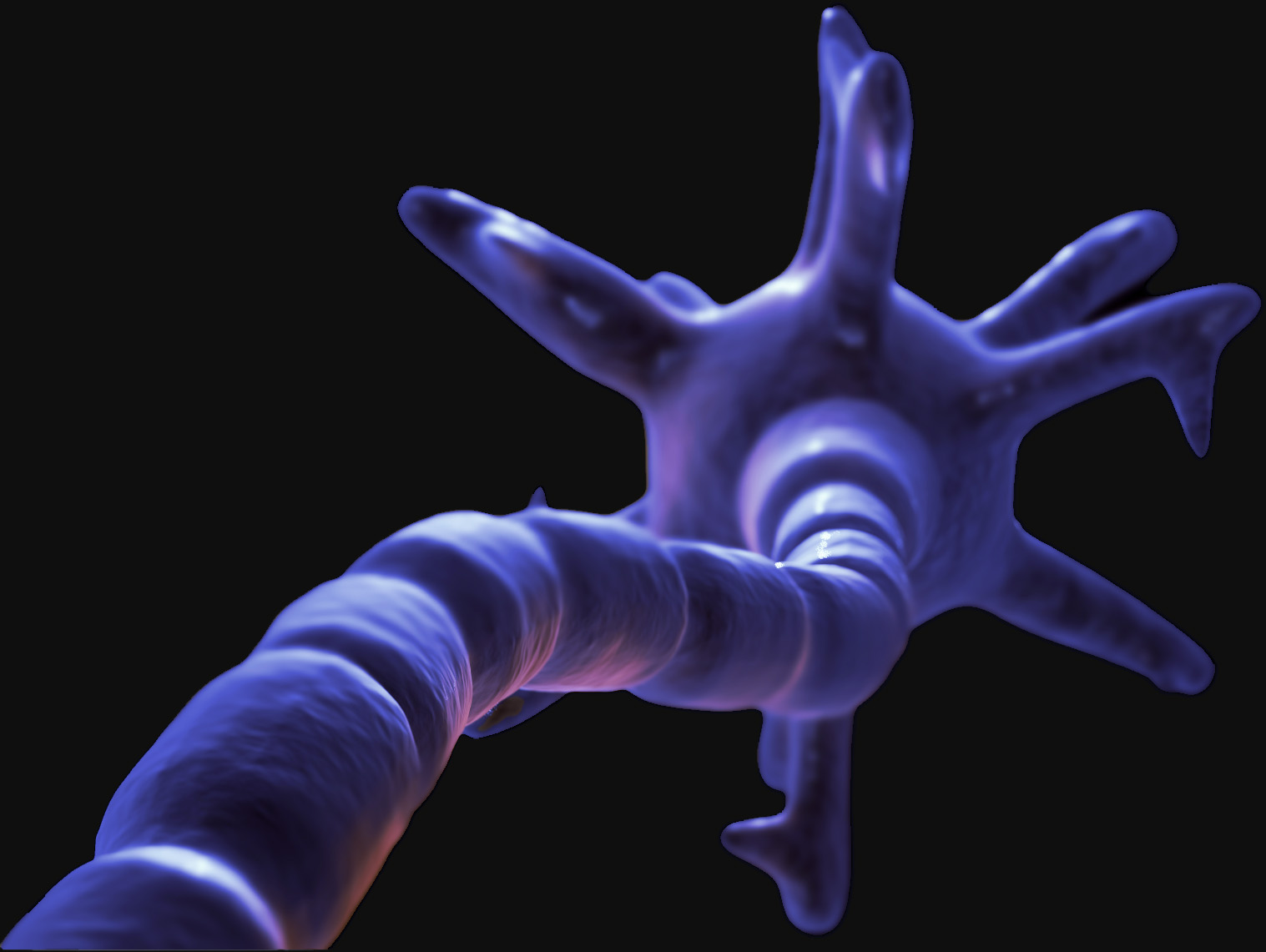 neuron