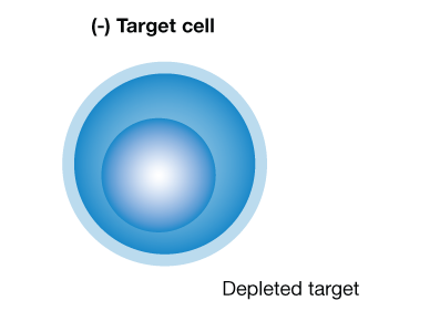 ADCC-Negative-Target-Cell-Only