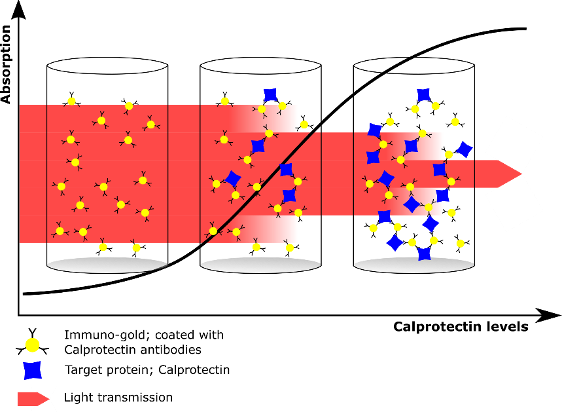 Turbidimetric assay