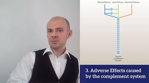 Adverse effects in drug development