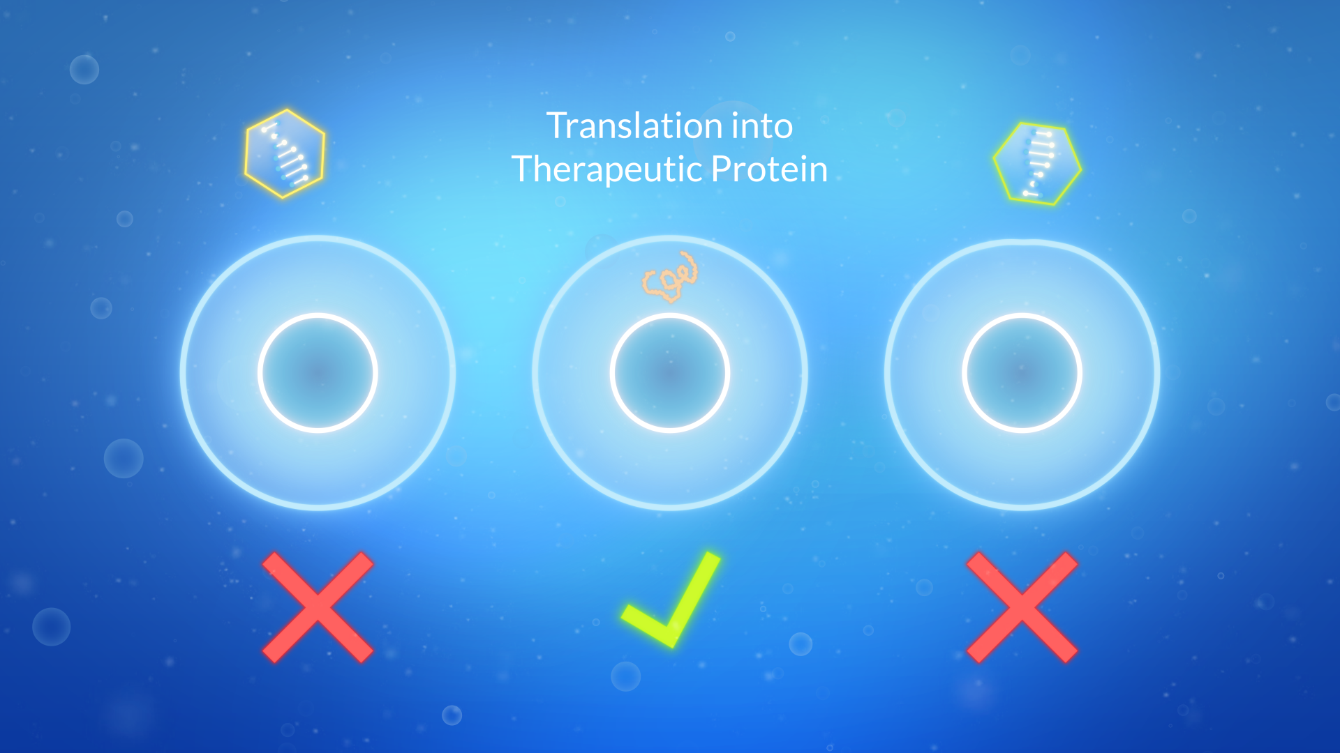 Vector-gene-therapy-cells