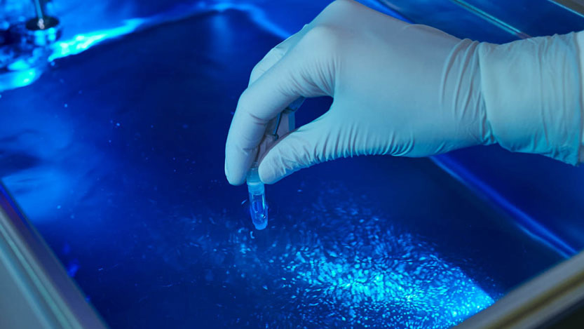 Svar-Life-Science-iLite-cell-based-reporter-gene-assays-cells-thawing-in-blue-colored-water-bath