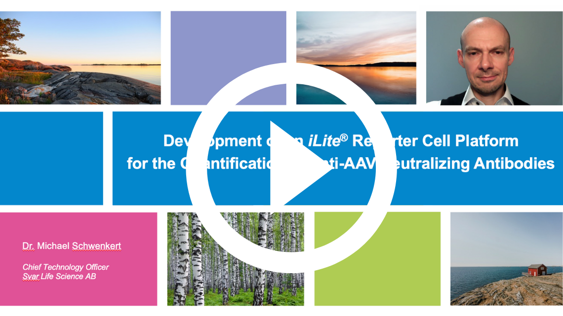 Development of an iLite Reporter Cell Platform for the Quantification of Anti-AAV Neutralizing Antibodies