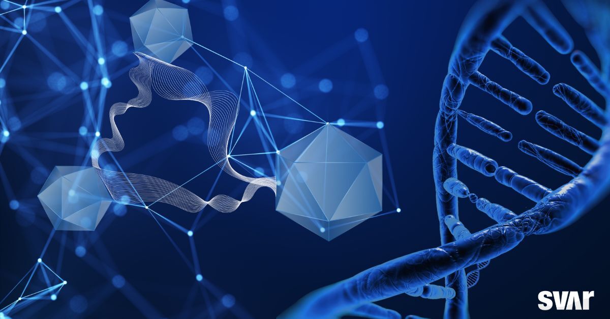 Advancing Safer AAV Gene Therapies Through Comprehensive Immunogenicity Assessment