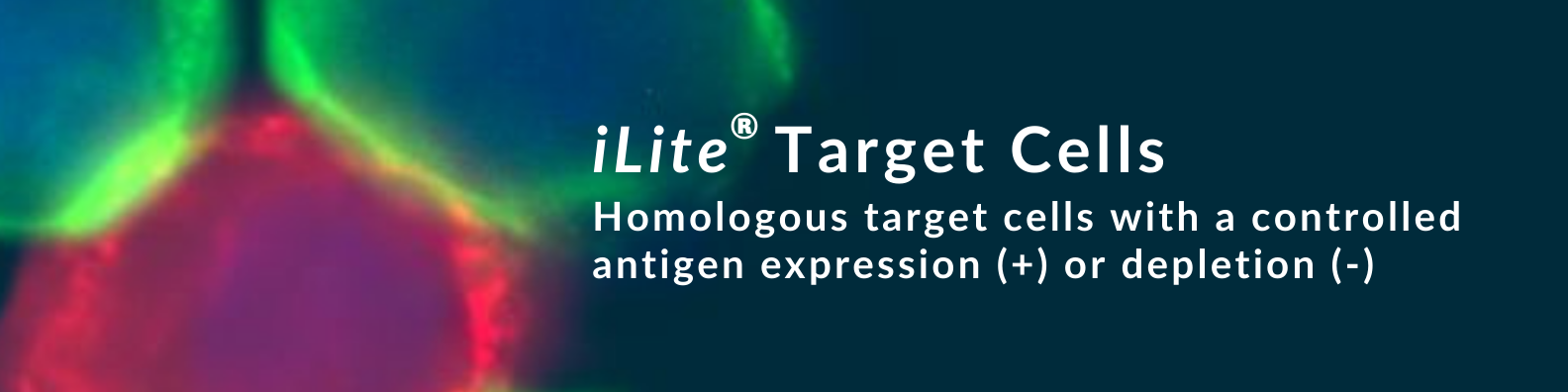 iLite Target Cells