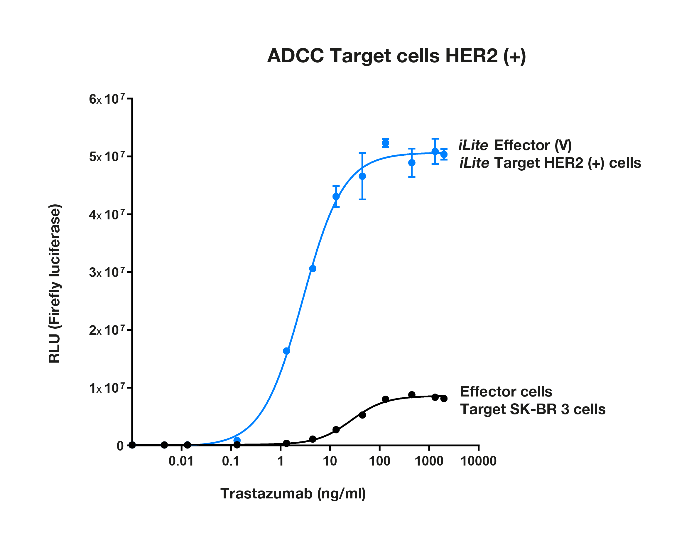 ADCC-Target-cells-HER2