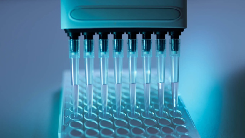 Svar-Life-Science-iLite-cell-based-reporter-gene-assays-being-applied-with-multipipette-onto-assay-plate-1-1-1
