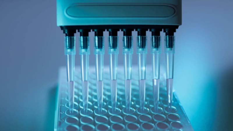 iLite cell based reporter gene assays being applied with multipipette onto assay plate