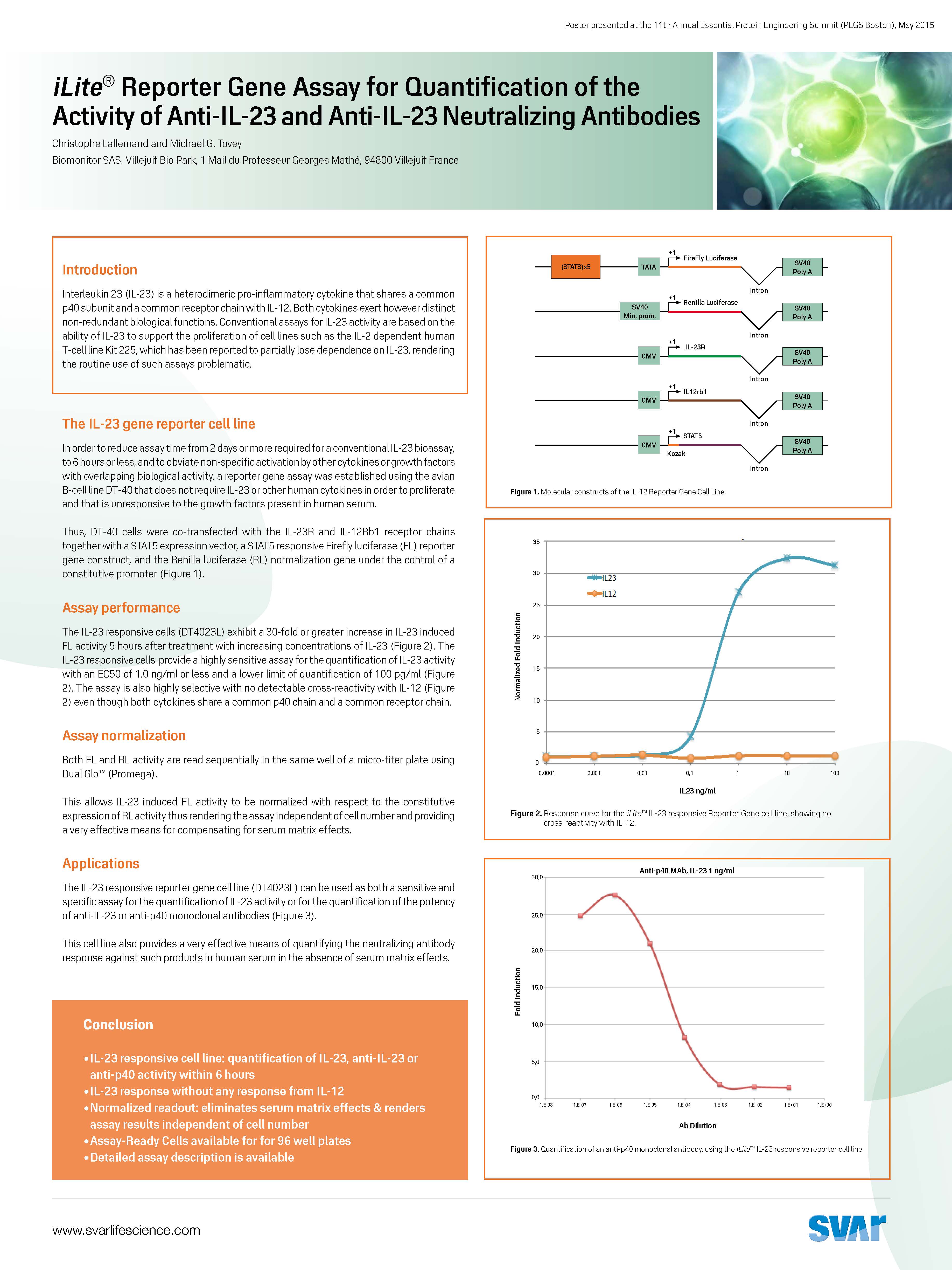 Scientific Poster: iLite® Reporter Gene Assay for Quantification of the Activity of Anti-IL-23 and Anti-IL-23 Neutralizing Antibodies